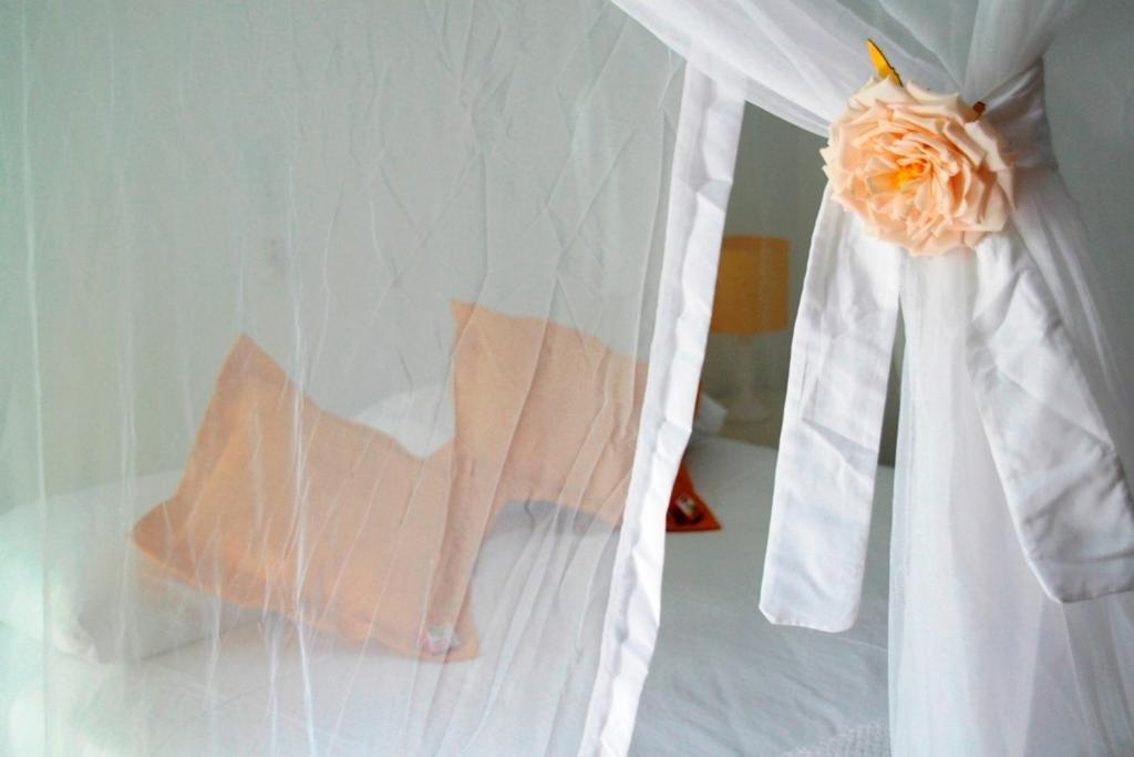 Pousada Jasmim Dos Poetas Mata de São João Chambre photo